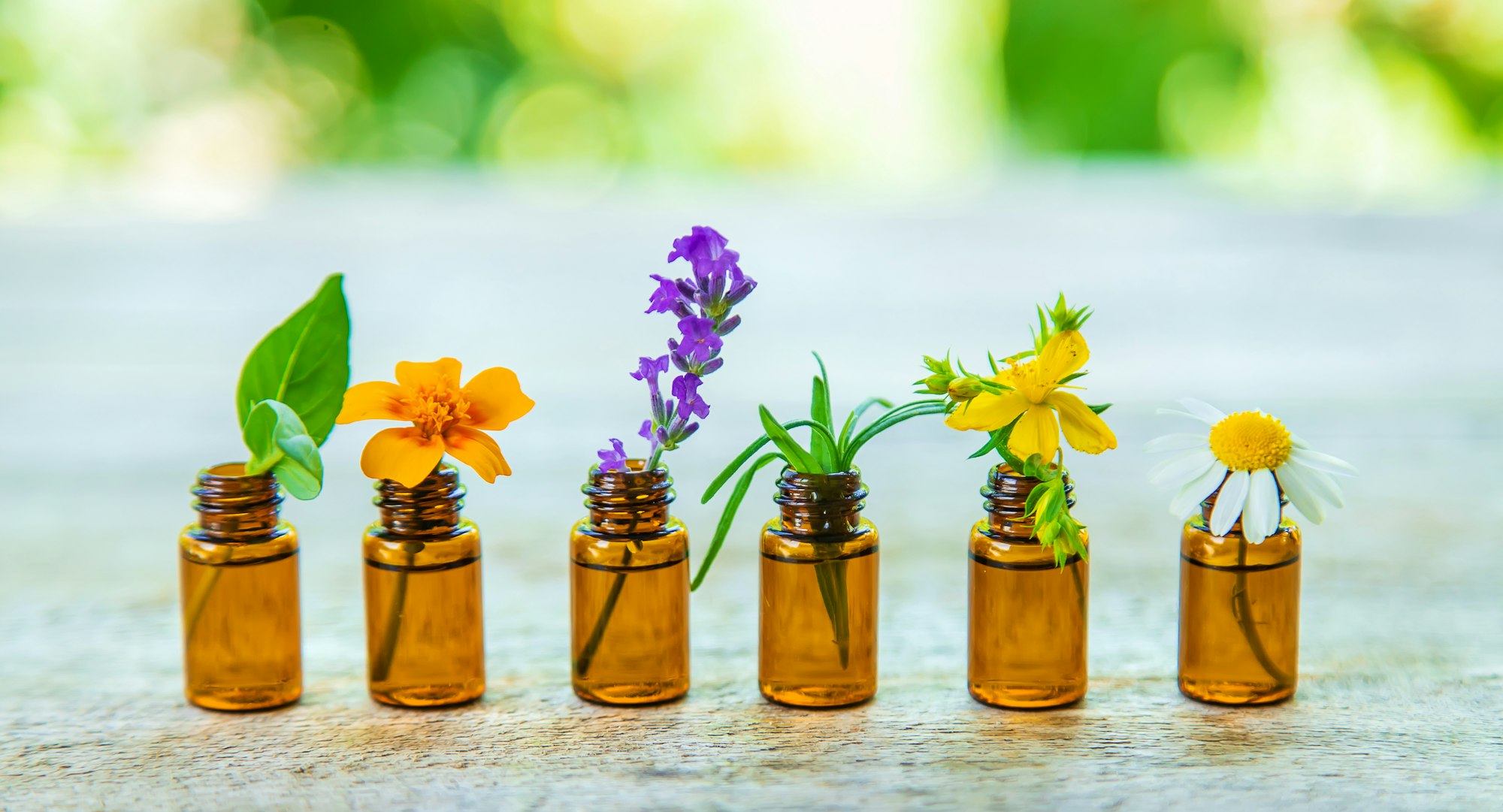 Essential oils and herbal extracts in small bottles. Selective focus.